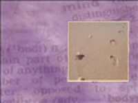 media-image