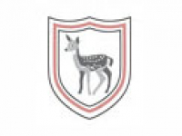 media-image