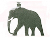 media-image