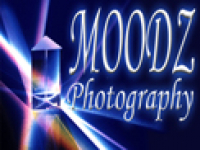 media-image