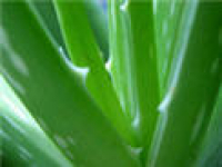 media-image