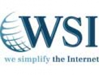 WSI - Internet Consulting