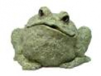 TOAD'S SCHOOL OF DRIVING