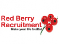 Red Berry Recruitment