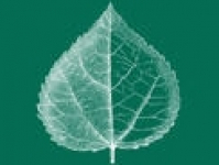 Richardson Design