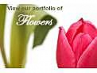 SUE'S FLOWERS