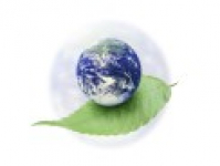 media-image