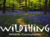 Wildthing