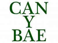 Can-y-Bae Hotel