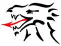 Dragon Building Contractors
