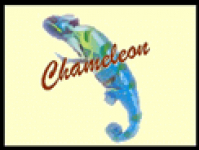 CHAMELEON SKIN & THERAPY CLINIC
