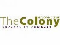 The Colony Networking Group
