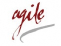 Agile Group