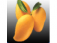 Mango Contracts Ltd - Plumbing