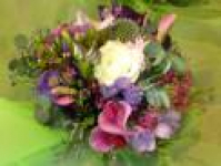 Patricia McCormack flowers