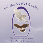 Walks with Hawks