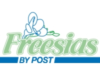 Freesias By Post