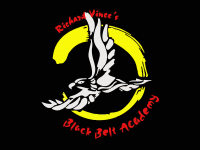 Black Belt Academy Dyslexia Support