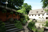 media-image