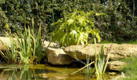 media-image