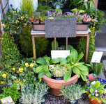 Grange Farm Nursery