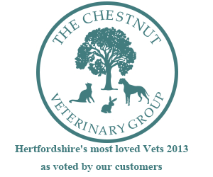 Local Businesses in Hertford