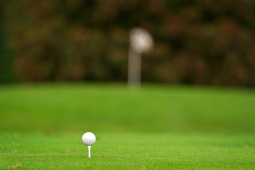 Are you looking for a cheap golfing lesson in Brentwood?