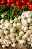 Health foods in Cardigan and Teifi Valley