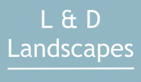 media-image