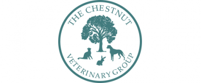 Chestnut Vets goes digital!