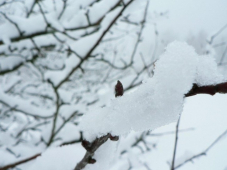 With snow forecast for Southend, how's your driving?