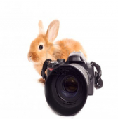 media-image