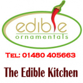 Hot Stuff at Edible Ornamentals just outside St Neots