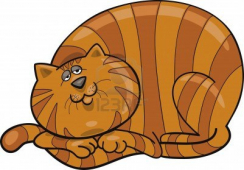Dangerous Diets for Cats and Dogs
