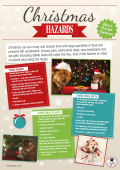 Have a 'Pet Safe' Christmas - festive advice from Pearl Vets in Telford