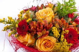 Need A Way To Tell That Special Someone How You Feel?