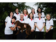 Inca accountants in abingdon
