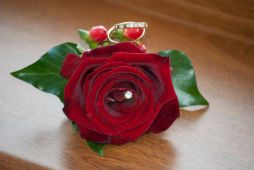 Discuss your wedding flowers with the expert