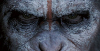 Dawn of the Planet of the Apes a must see in Shrewsbury