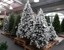 Santa’s Grotto at Newbank Garden Centre