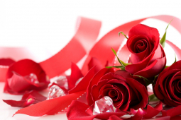 Valentine's Day at Calderfields in Walsall