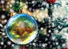 Christmas Celebrations at Hawkesyard Estate