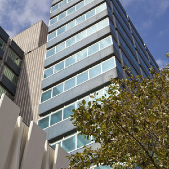 Amp House