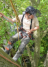 What should I do if I need to remove or treat an diseased or fallen tree?