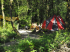 Thinking about giving camping a go?