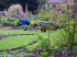Spring Garden Tips