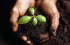 Get Growing This Spring!
