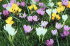 Get going in the garden!