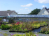 Fruit tree maintenance @Ivydene Garden Centre, Carmarthenshire