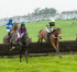 POINT-TO-POINT PREVIEW - DINGLEY, SATURDAY MAY 18